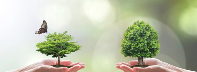 La nature, alliée de notre efficacité