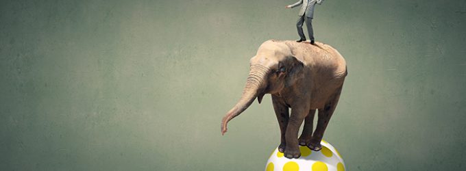 Manager dans l’agilité : vos 3 ressources personnelles